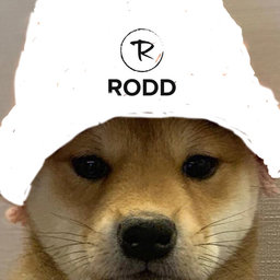 Rodd