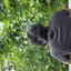Dhanush_2005