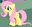 Little Poneys (was deleted at: 2024-10-21T16:43:29.5416907Z)