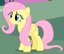 Little Poneys (was deleted at: 2024-10-21T16:43:29.5416907Z)