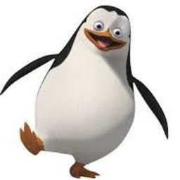 Pingvin00