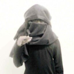 Swaggot