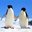 ThePenguins (was deleted at: 2021-04-19T15:16:27.0286348Z)
