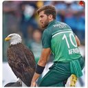 Cricket24Tournaments