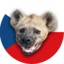 BOHEMIAN HYENAS