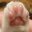 Paw Paw5