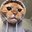 Anna2244