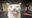 MTM#9453