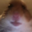 Snoukiki