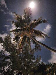 DARK EnvyME