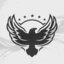 FIVE STARS ESPORTS!