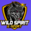 Wild-Spirit-Esport