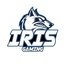IRIS GAMING (was deleted at: 2019-02-07T18:19:14.0658145Z)
