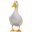 Ducky-quack