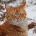 BeginnersFriendlyTournaments