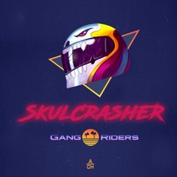 SkulCrasheR