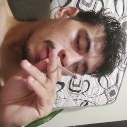 Catatau Vulgo Catuaba