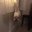 Erk /b/