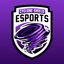 Cyclone Shield eSports