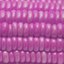 Pinkcorn