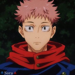 Panta