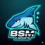 BSM E-SPORTS - Torneios e Copas