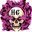 HellGirls
