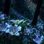 jardin maudit [REEV]
