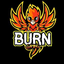 Burn Gaming