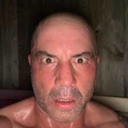 hd_harri