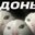 N1stor_SS