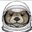 SPACE LONTRAS