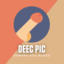 DEEC-PIC