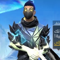 tamer41