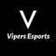 Vipers Esportss