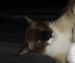 Horiginaliti