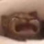 Aa ii tuki tuki