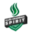 Illés Akadémia Spirit. (was deleted at: 2021-09-04T12:08:41.7841437Z)