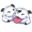 Poros Team