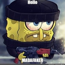 Vaxa55