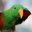 PPE (was deleted at: 2023-01-27T20:13:06.0568954Z)