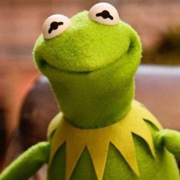 Kermit#6