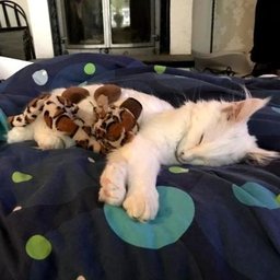 ItsMeSez