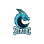 static-_-