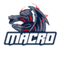 Macro Esports