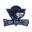 Team Solo Top