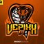 Vepixx