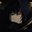 Alexutzu_898