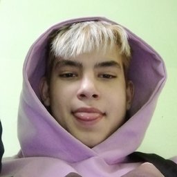 gypsym