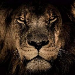 Jonatas Osvaldo Cruz Moura